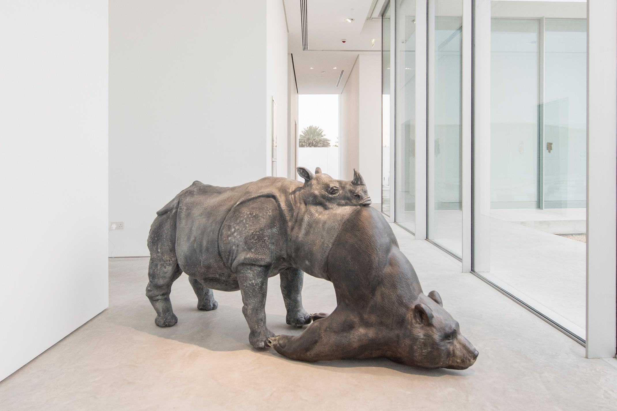 وحيد القرن/الدب Image