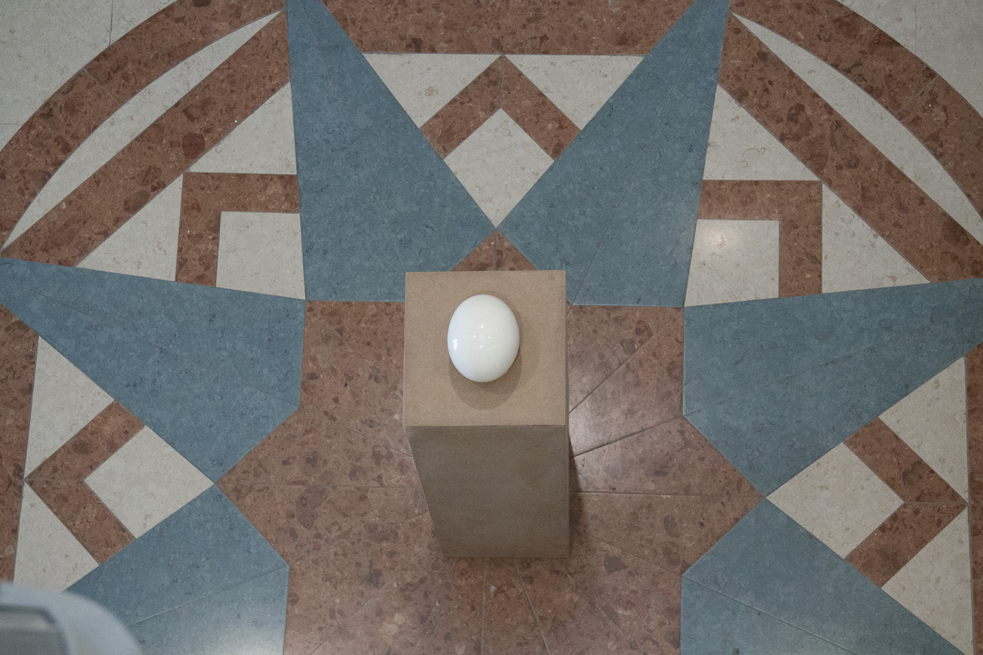 Ostrich Egg Image