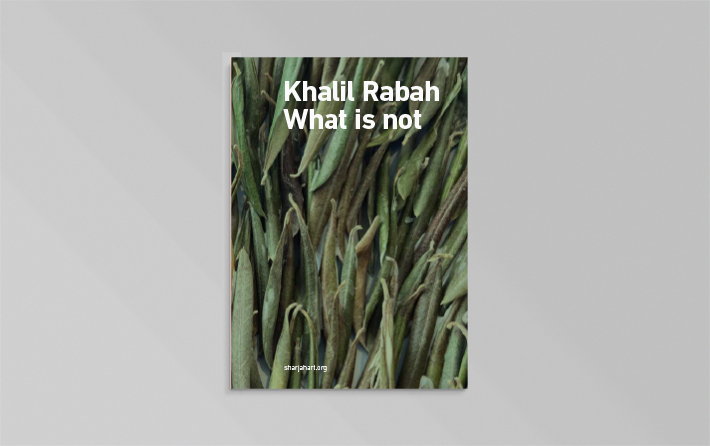 Khalil Rabah: What is not
