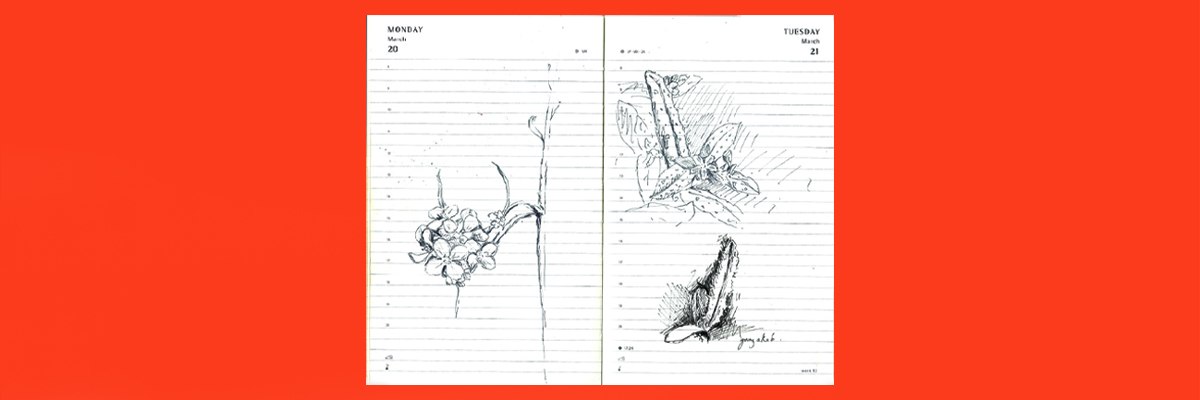 Art in the Age of the Environmental Crisis