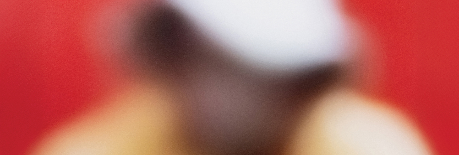 Image Keepers: Photographic Works from the Sharjah Art Foundation Collection