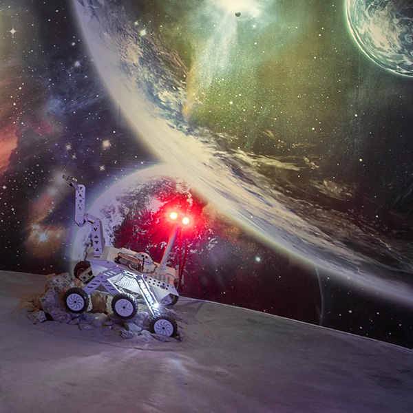 Palmyra Mars Mission Rover