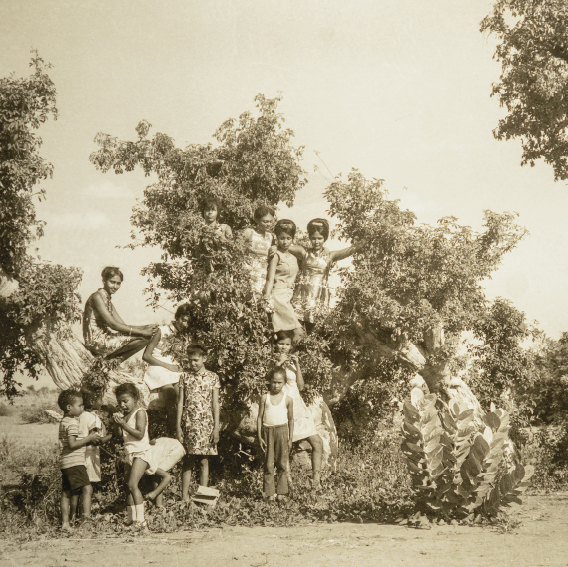 A Friday Outside El Obeid