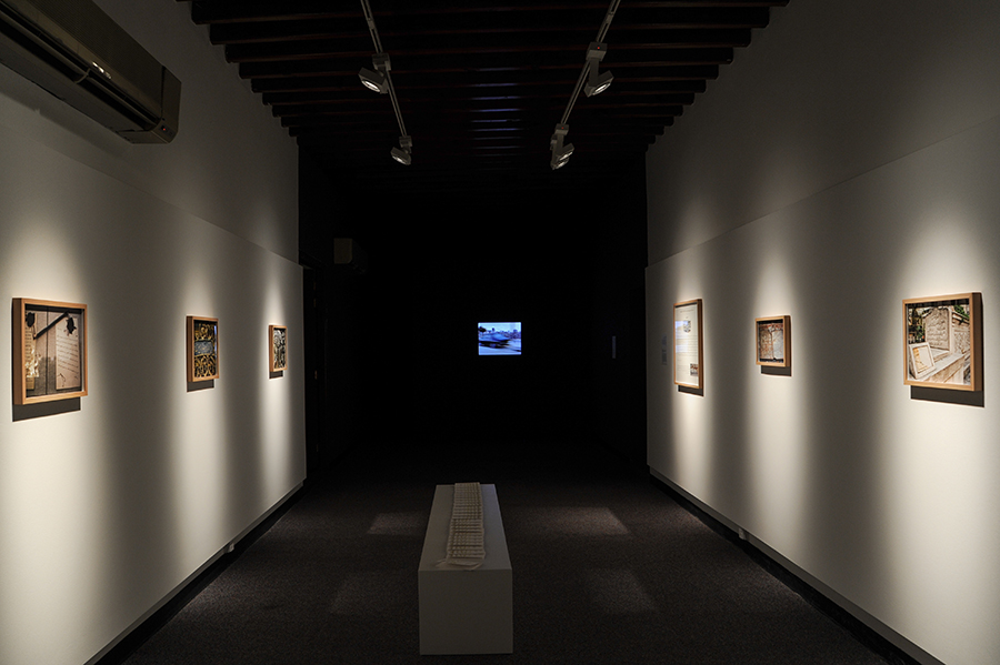 Graziella Rizkallah Toufic